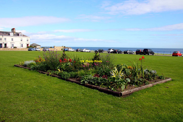 Photo 6"x4" Flowerbed by the war memorial Seaham c2011