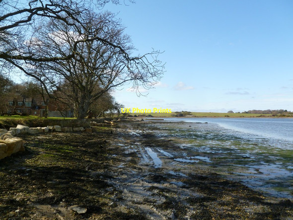 Photo 6"x4" Ower Quay Arne c2012