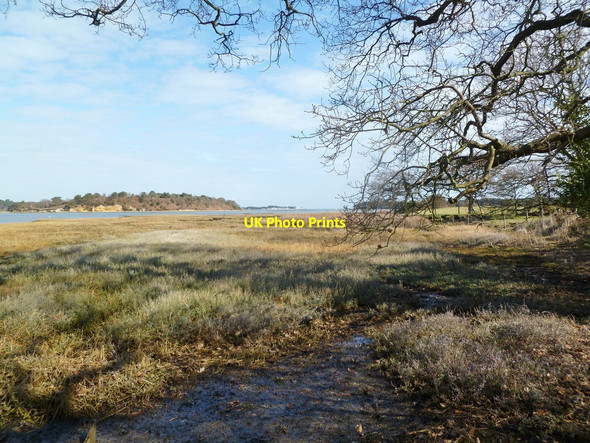 Photo 6"x4" Ower, saltmarsh Arne c2012