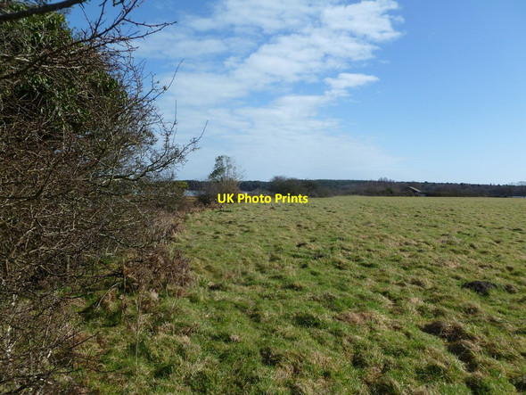 Photo 6"x4" Ower, grazing land Arne c2012