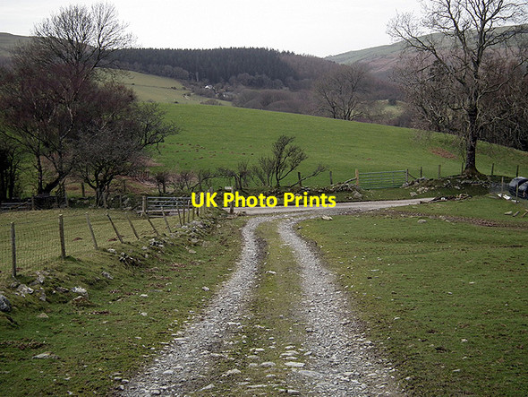 Photo 6"x4" Walking down to join the road between Bont-goch and Moelgolomen Bont-goch or Elerch c2012