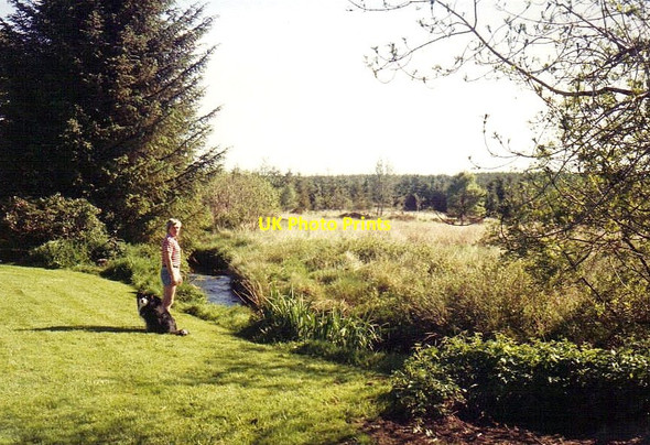 Photo 6"x4" Looking beyond the Beoch Burn Knowe\/NX3171 c1990