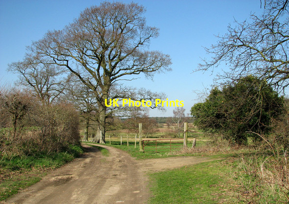 Photo 6"x4" This way to Sisland Carr Sisland c2012