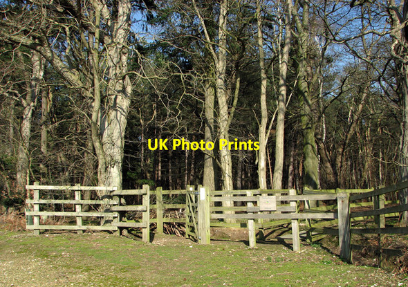 Photo 6"x4" Entrance into Sisland Carr Sisland c2012