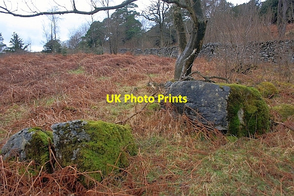 Photo 6"x4" Boulders, Whitbarrow Beck Head\/SD4484 c2012