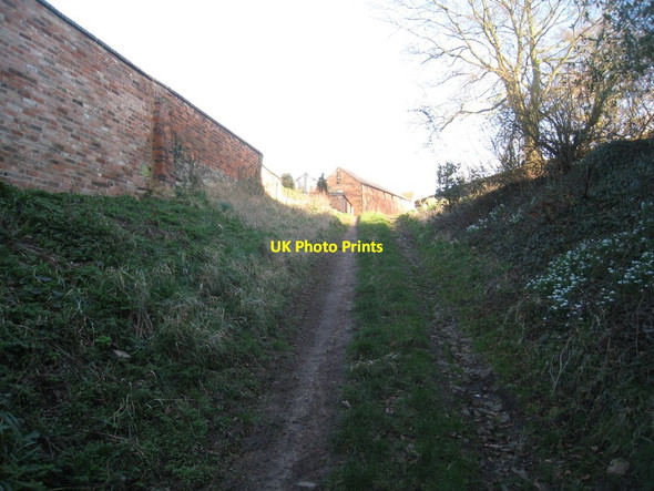 Photo 6"x4" Up the hill into Kneeton Hoveringham c2012