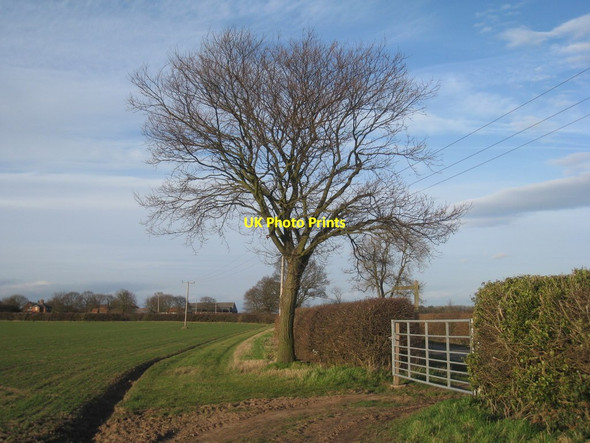 Photo 6"x4" Gateway and path Kneeton c2012