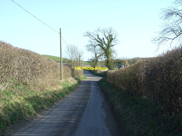 Photo 6"x4" Road Junction, of Bere Down Lane and Roke Road Bere Regis c2012