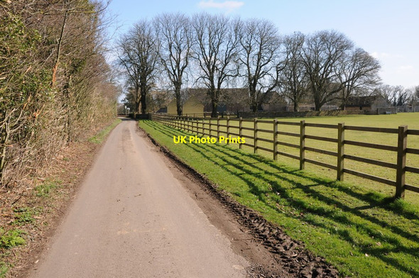 Photo 6"x4" Road approaching Nether Lypiatt Manor Brimscombe c2012