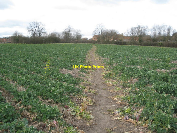 Photo 6"x4" Footpath to Syerston Elston\/SK7548 c2012