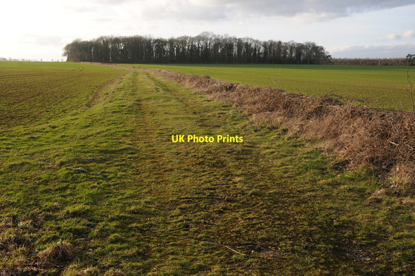 Photo 6"x4" Field headland Kemble c2012
