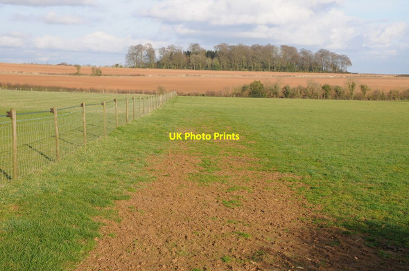 Photo 6"x4" Farmland near Emmerson Plantation Frampton Mansell c2012