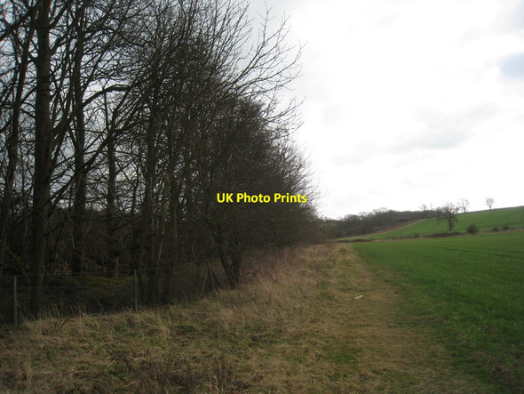 Photo 6"x4" Alongside the railway Old Dalby c2012
