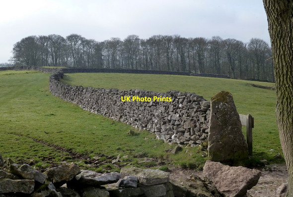 Photo 6"x4" Fields above Taddington Dale Brushfield c2012