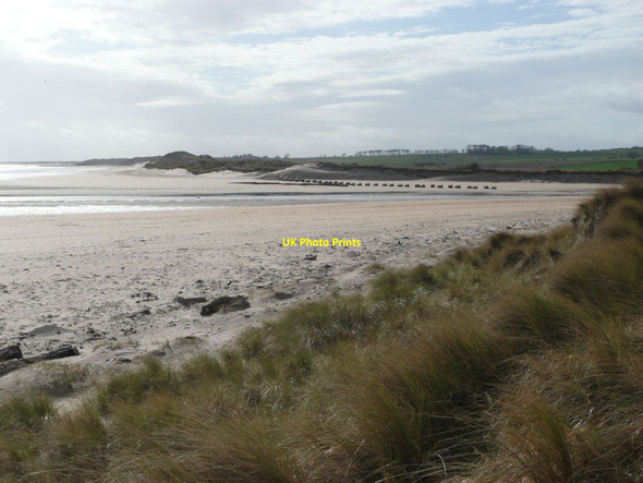 Photo 6"x4" Alnmouth Bay with the tide out Alnmouth c2012