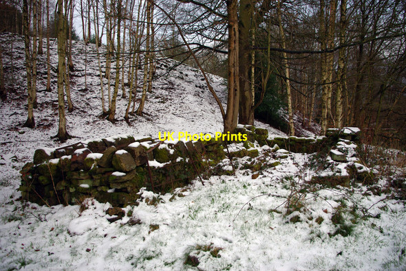 Photo 6"x4" Remains of structure in Martin Wood, Mytholmroyd Hebden Bridge c2012