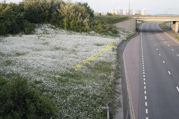 Photo 6"x4" White Roundabout Cavendish Bridge c2008