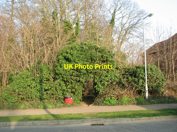 Photo 6"x4" Path into Belmore Plantation, Thorpe St Andrew Thorpe St Andrew c2012