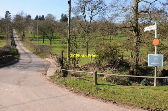 Photo 6"x4" Road to Evesbatch Evesbatch c2012
