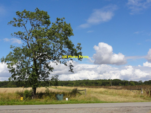 Photo 6"x4" Across the Fields to Grange Wood Kirkby Underwood c2011