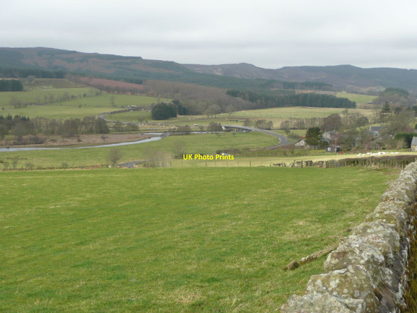 Photo 6"x4" Pasture in Coquetdale Sharperton c2012
