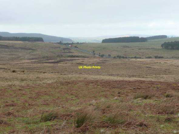 Photo 6"x4" On Wellhope Knowe Edlingham c2012