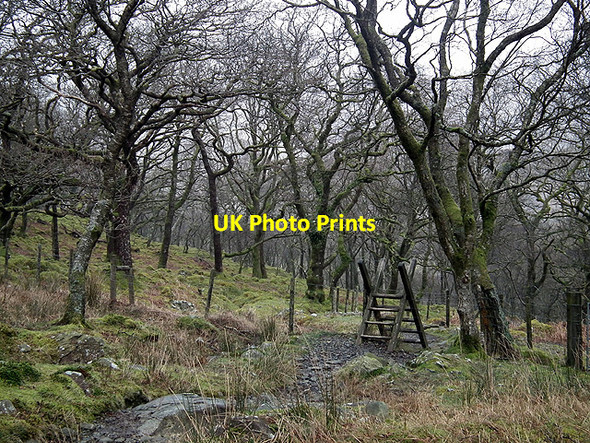Photo 6"x4" Stile on the path between Cwm-bychan and Bwlch Tyddiad Carreg-y-saeth c2012