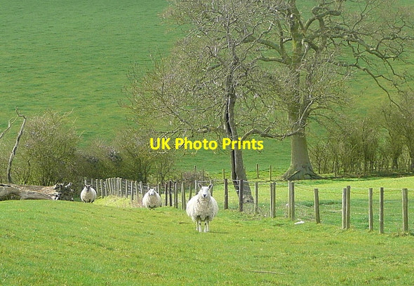 Photo 6"x4" What are you doing here? Brill\/SP6513 c2012