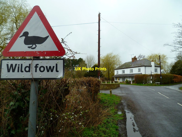 Photo 6"x4" Dwellings on Mill Road West Ashling c2012