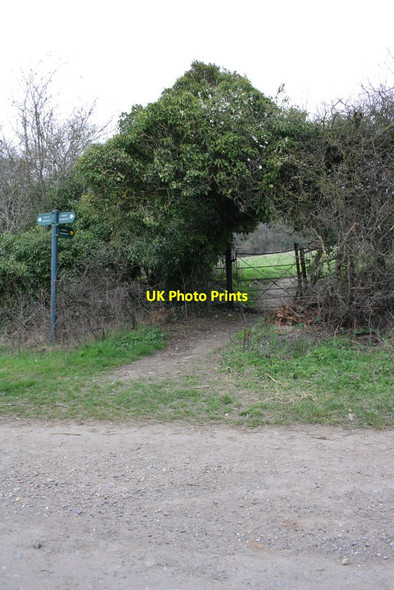 Photo 6"x4" Ivy archway over public footpath Little Heath\/SU6573 c2012