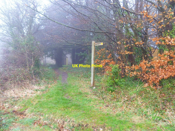 Photo 6"x4" Footpath sign by Up Marden church Up Marden c2012