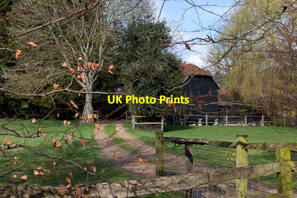Photo 6"x4" Northbrook Springs Vineyard Northbrook\/SU5518 c2012