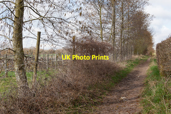 Photo 6"x4" Bridleway at Northbrook Northbrook\/SU5518 c2012