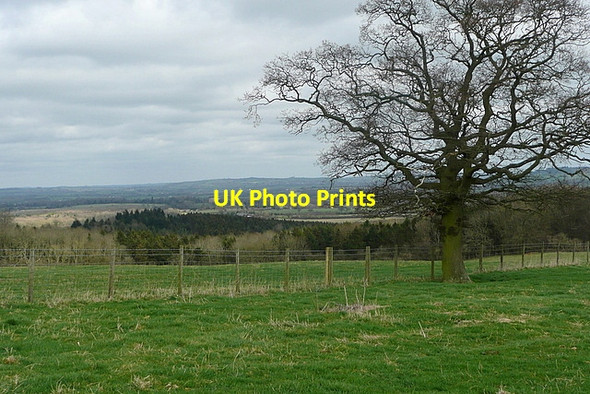 Photo 6"x4" Towards Chinkwell Wood Brill\/SP6513 c2012