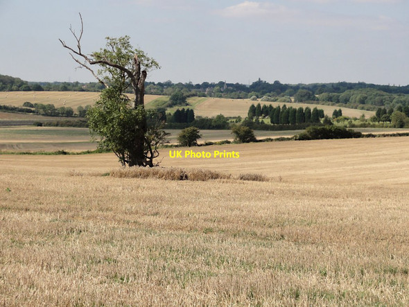 Photo 6"x4" Fields near Mathorpe Manthorpe\/TF0715 c2011