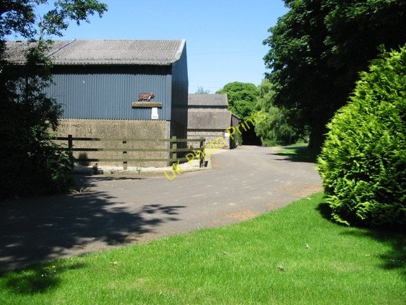 Photo 6"x4" Looking NE along footpath through Blandred Farm Ridge Row c2008