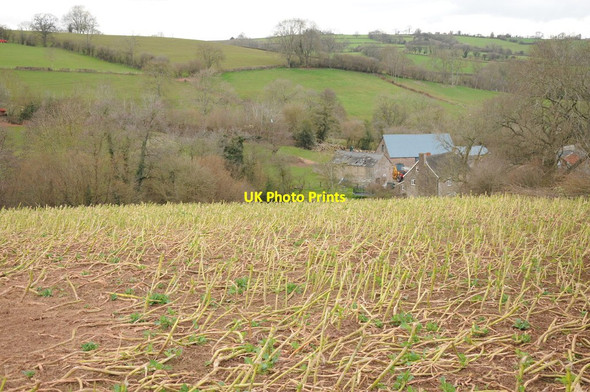 Photo 6"x4" View over Hoaldalbert Grosmont\/SO4024 c2012
