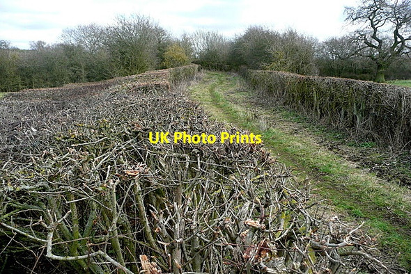 Photo 6"x4" Track across the railway line Upper Pollicott c2012