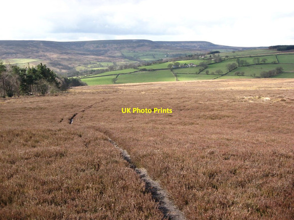 Photo 6"x4" Hawnby Moor Fangdale Beck c2012