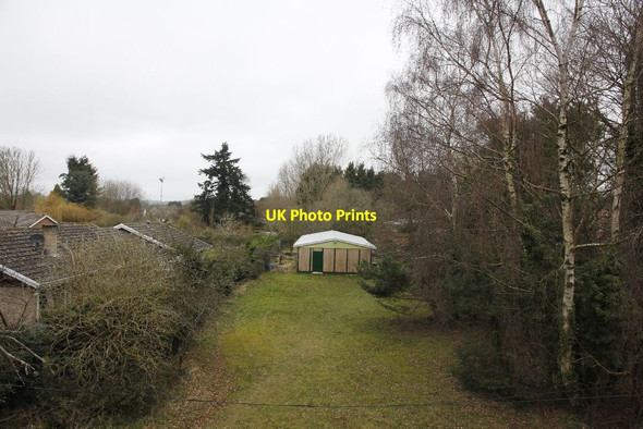 Photo 6"x4" Looking down on Pinewood Hermitage\/SU5173 c2012