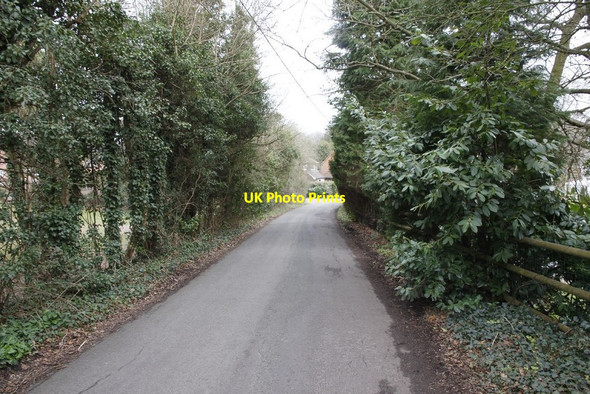 Photo 6"x4" Towards the Halt entrance Hermitage\/SU5173 c2012
