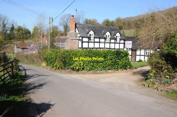 Photo 6"x4" Cottages in Halmond's Frome Bishops Frome c2012