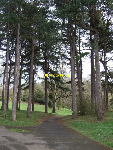 Photo 6"x4" Path in Sefton Park Dingle\/SJ3687 c2012