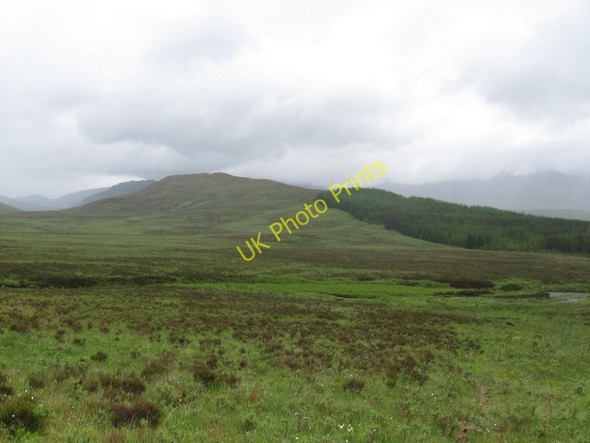 Photo 6"x4" Across Allt na h-Uamha to corner of forestry with Creag Mhor beyond Torgulbin c2008