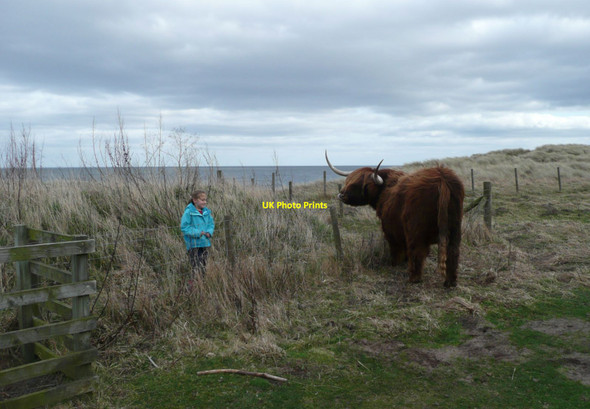 Photo 6"x4" Face to face on the dunes Hadston c2012