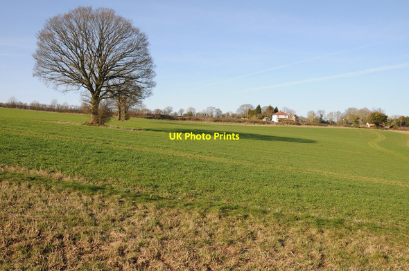 Photo 6"x4" Herefordshire Trail at Fromes Hill Frome c2012