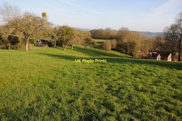 Photo 6"x4" Field on Fox Hill Fox Hill\/SO6845 c2012