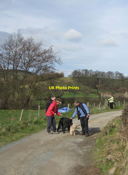 Photo 6"x4" Canine encounter Church Houses c2012