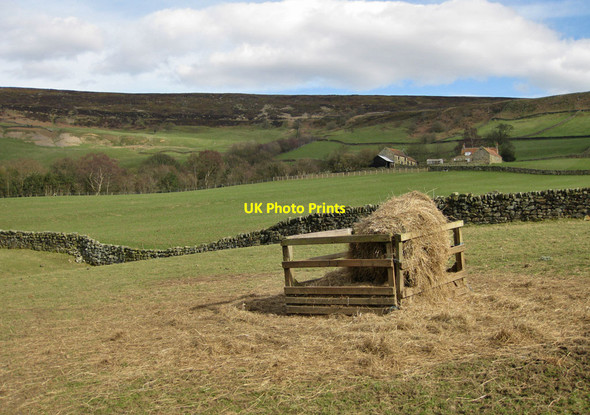 Photo 6"x4" Supplementary feed, Farndale Church Houses c2012
