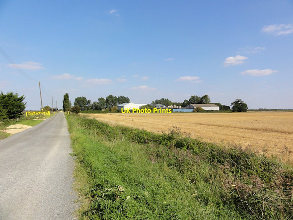 Photo 6"x4" Deeping Fen Farm Tongue End c2011